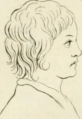An illustration from Essai sur la physiognomonie : destiné a faire connoître l'homme & à le faire aimer, 1781, leaf 157