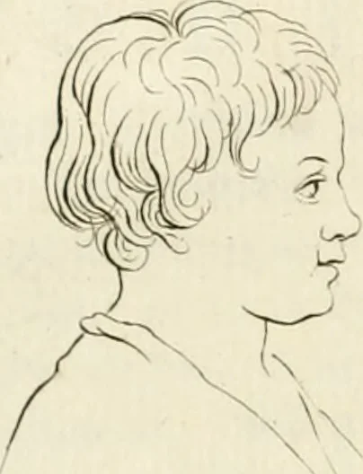 An illustration from Essai sur la physiognomonie : destiné a faire connoître l'homme & à le faire aimer, 1781, leaf 157