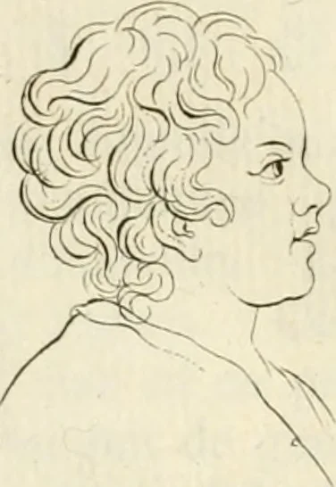 An illustration from Essai sur la physiognomonie : destiné a faire connoître l'homme & à le faire aimer, 1781, leaf 157