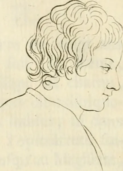 An illustration from Essai sur la physiognomonie : destiné a faire connoître l'homme & à le faire aimer, 1781, leaf 157