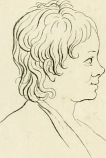 An illustration from Essai sur la physiognomonie : destiné a faire connoître l'homme & à le faire aimer, 1781, leaf 157