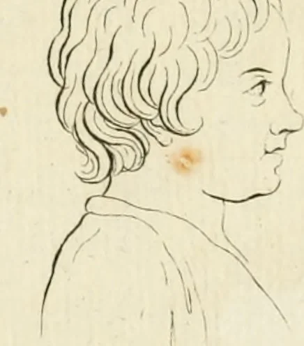 An illustration from Essai sur la physiognomonie : destiné a faire connoître l'homme & à le faire aimer, 1781, leaf 157