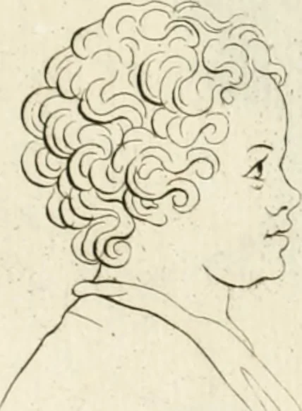 An illustration from Essai sur la physiognomonie : destiné a faire connoître l'homme & à le faire aimer, 1781, leaf 157