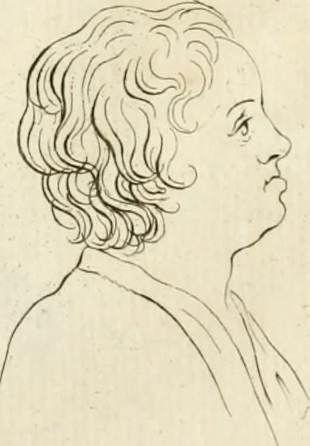 An illustration from Essai sur la physiognomonie : destiné a faire connoître l'homme & à le faire aimer, 1781, leaf 157