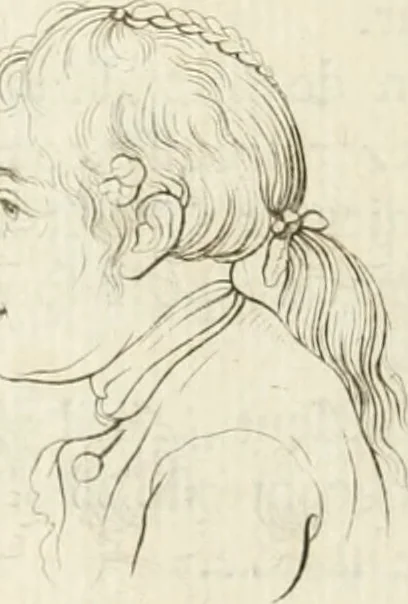An illustration from Essai sur la physiognomonie : destiné a faire connoître l'homme & à le faire aimer, 1781, leaf 159