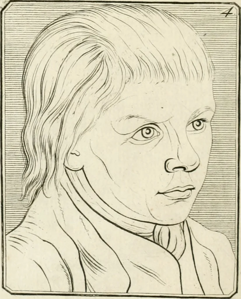 An illustration from Essai sur la physiognomonie : destiné a faire connoître l'homme & à le faire aimer, 1781, leaf 165