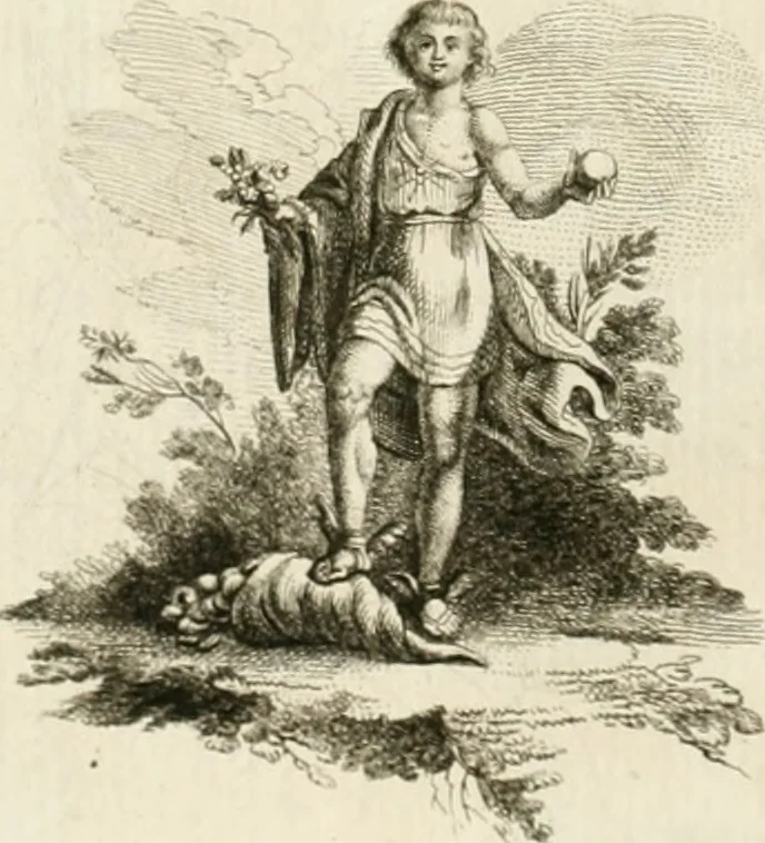 An illustration from Essai sur la physiognomonie : destiné a faire connoître l'homme & à le faire aimer, 1781, leaf 167