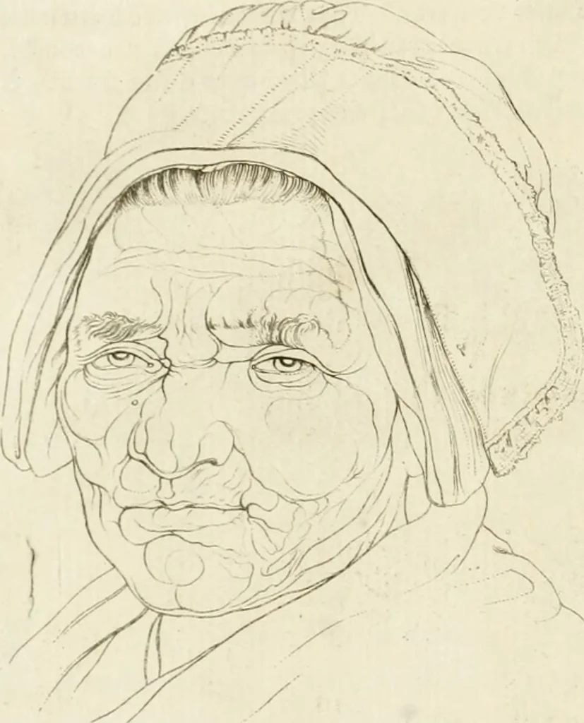 An illustration from Essai sur la physiognomonie : destiné a faire connoître l'homme & à le faire aimer, 1781, leaf 181