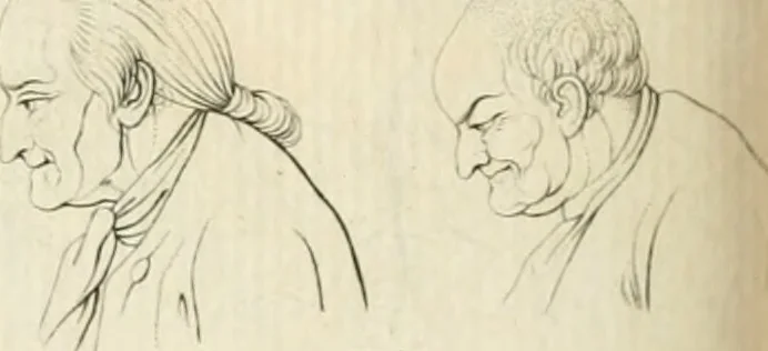 An illustration from Essai sur la physiognomonie : destiné a faire connoître l'homme & à le faire aimer, 1781, leaf 183
