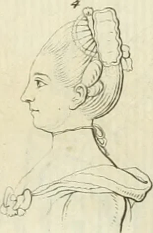 An illustration from Essai sur la physiognomonie : destiné a faire connoître l'homme & à le faire aimer, 1781, leaf 184
