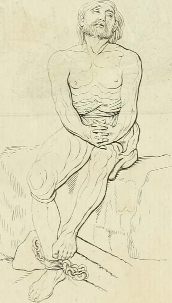 An illustration from Essai sur la physiognomonie : destiné a faire connoître l'homme & à le faire aimer, 1781, leaf 230