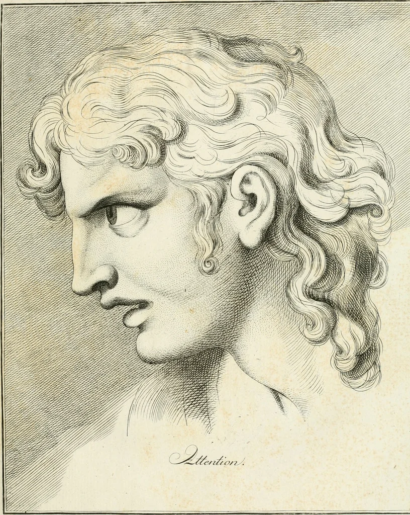 An illustration from Essai sur la physiognomonie : destiné a faire connoître l'homme & à le faire aimer, 1781, leaf 232