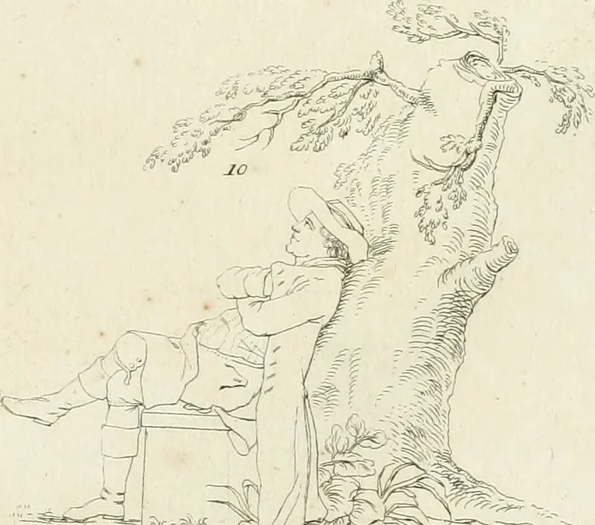 An illustration from Essai sur la physiognomonie : destiné a faire connoître l'homme & à le faire aimer, 1781, leaf 238
