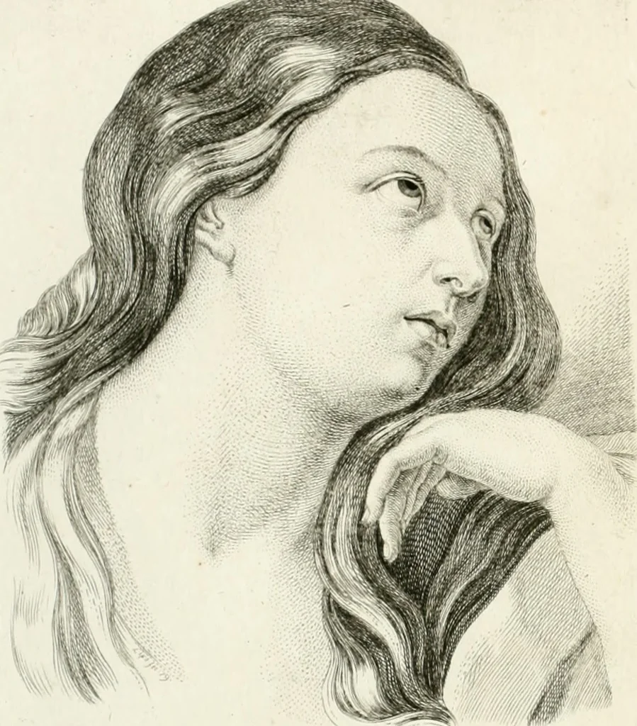 An illustration from Essai sur la physiognomonie : destiné a faire connoître l'homme & à le faire aimer, 1781, leaf 241