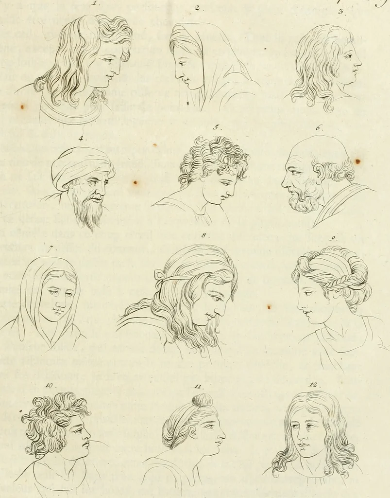 An illustration from Essai sur la physiognomonie : destiné a faire connoître l'homme & à le faire aimer, 1781, leaf 244