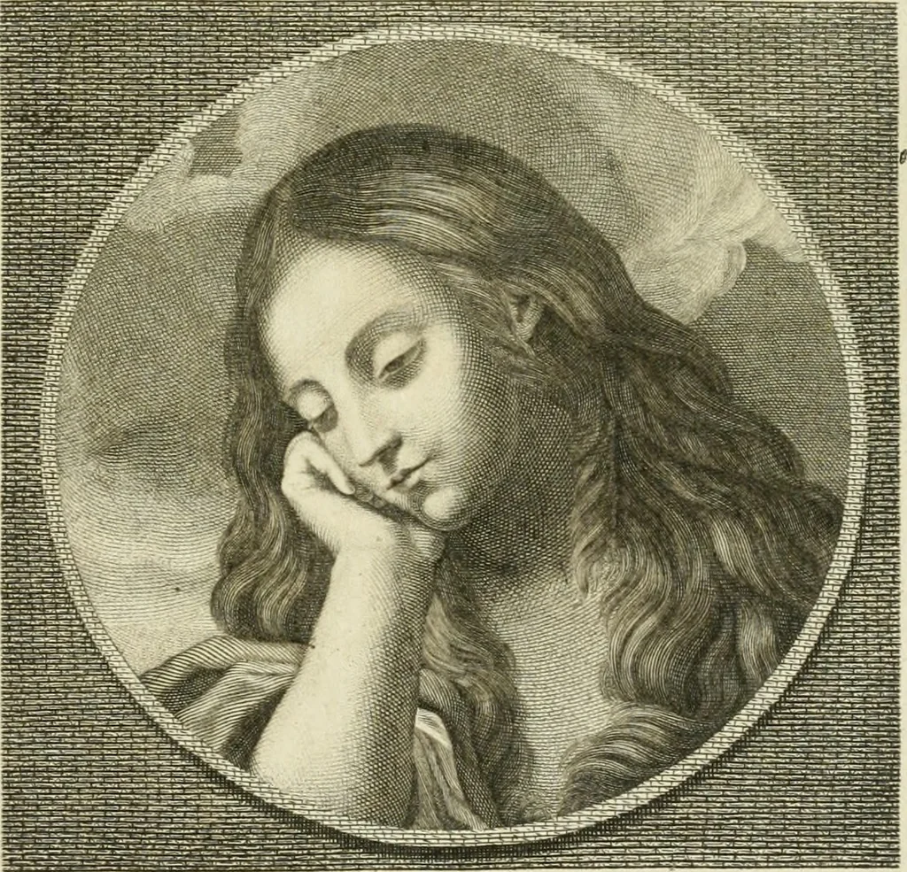 An illustration from Essai sur la physiognomonie : destiné a faire connoître l'homme & à le faire aimer, 1781, leaf 248