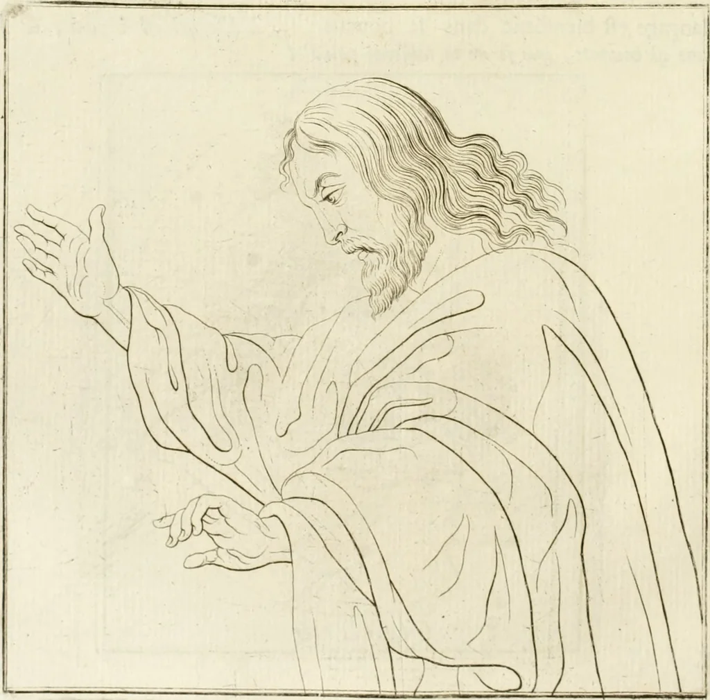 An illustration from Essai sur la physiognomonie : destiné a faire connoître l'homme & à le faire aimer, 1781, leaf 255