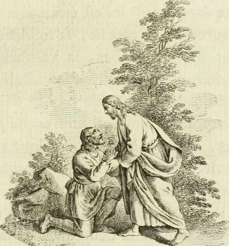 An illustration from Essai sur la physiognomonie : destiné a faire connoître l'homme & à le faire aimer, 1781, leaf 256