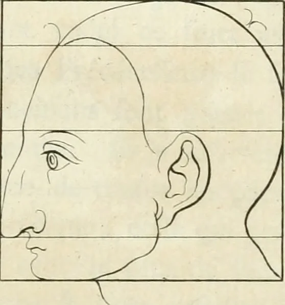 An illustration from Essai sur la physiognomonie : destiné a faire connoître l'homme & à le faire aimer, 1781, leaf 286
