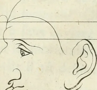 An illustration from Essai sur la physiognomonie : destiné a faire connoître l'homme & à le faire aimer, 1781, leaf 286