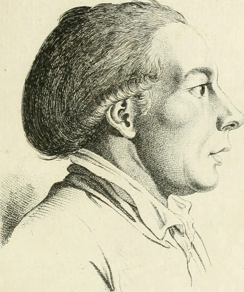 An illustration from Essai sur la physiognomonie : destiné a faire connoître l'homme & à le faire aimer, 1781, leaf 312