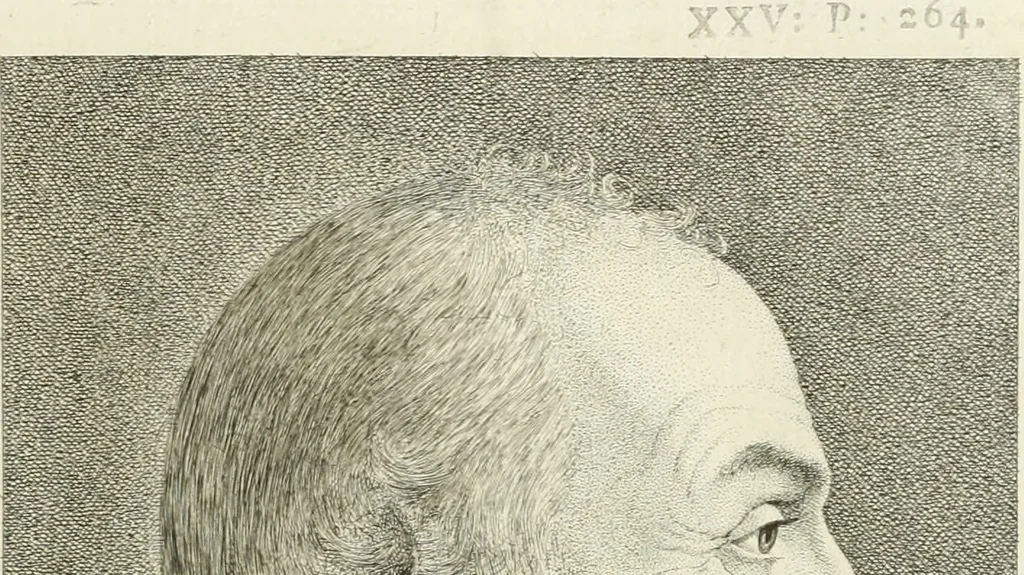 An illustration from Essai sur la physiognomonie : destiné a faire connoître l'homme & à le faire aimer, 1781, leaf 320