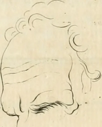 An illustration from Essai sur la physiognomonie : destiné a faire connoître l'homme & à le faire aimer, 1781, leaf 327