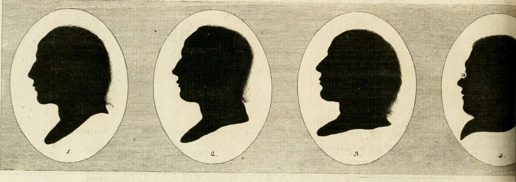 An illustration from Essai sur la physiognomonie : destiné a faire connoître l'homme & à le faire aimer, 1781, leaf 331