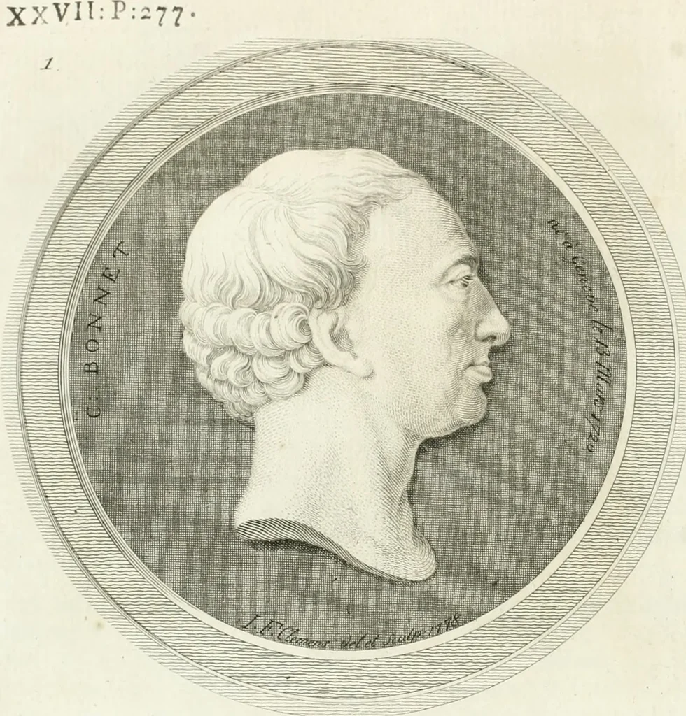 An illustration from Essai sur la physiognomonie : destiné a faire connoître l'homme & à le faire aimer, 1781, leaf 337
