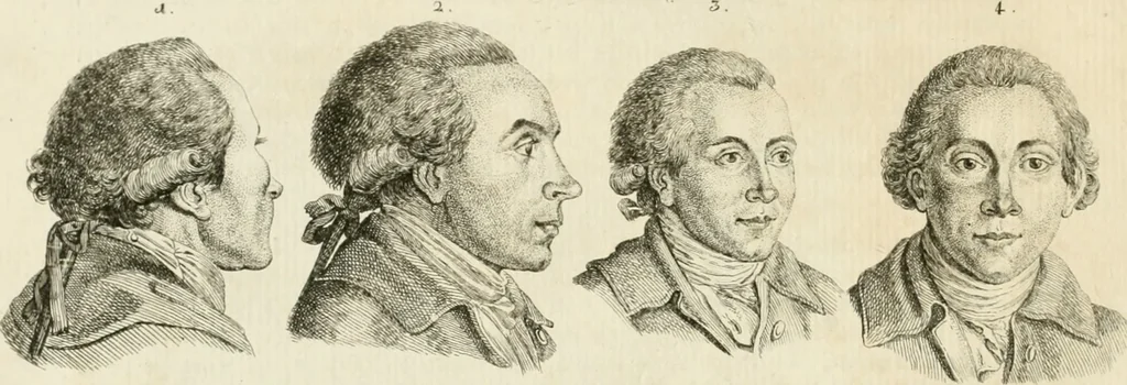 An illustration from Essai sur la physiognomonie : destiné a faire connoître l'homme & à le faire aimer, 1781, leaf 339