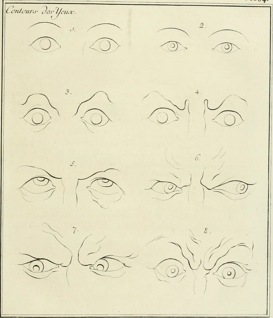 An illustration from Essai sur la physiognomonie : destiné a faire connoître l'homme & à le faire aimer, 1781, leaf 346
