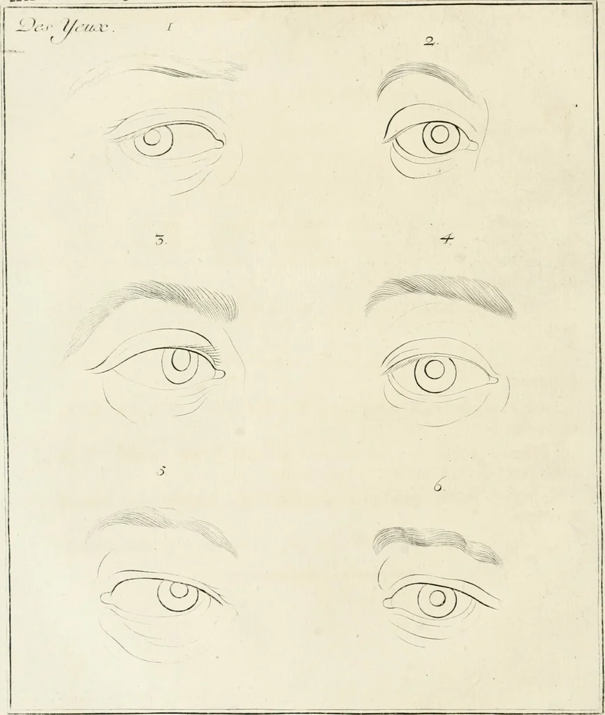 An illustration from Essai sur la physiognomonie : destiné a faire connoître l'homme & à le faire aimer, 1781, leaf 347