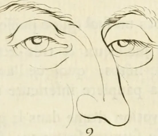 An illustration from Essai sur la physiognomonie : destiné a faire connoître l'homme & à le faire aimer, 1781, leaf 349