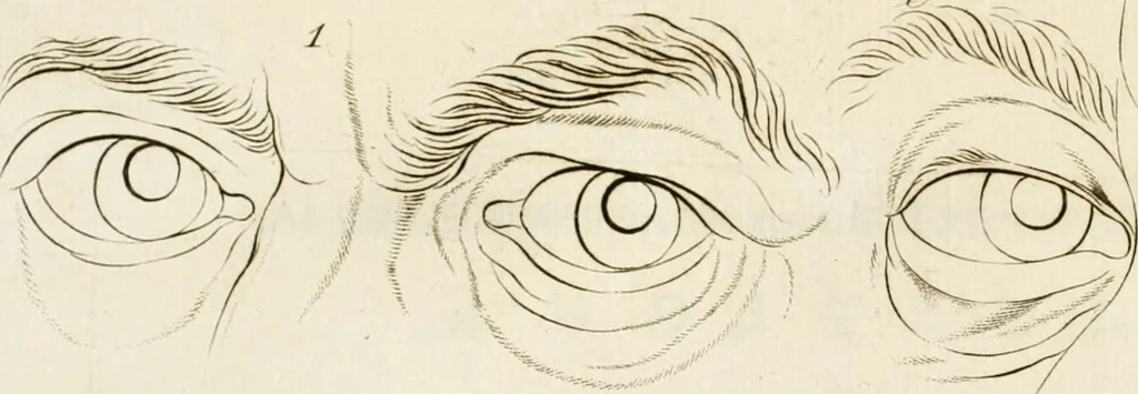 An illustration from Essai sur la physiognomonie : destiné a faire connoître l'homme & à le faire aimer, 1781, leaf 351