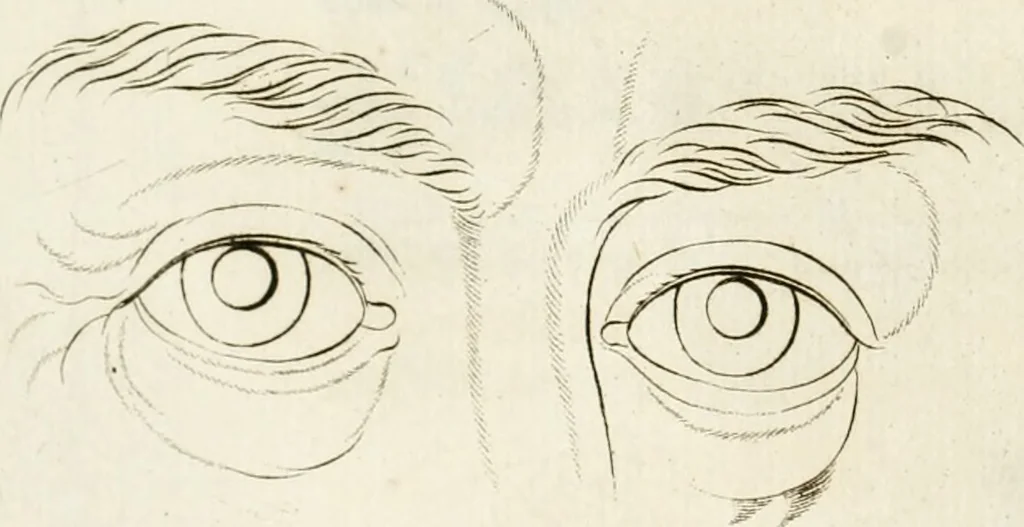 An illustration from Essai sur la physiognomonie : destiné a faire connoître l'homme & à le faire aimer, 1781, leaf 351