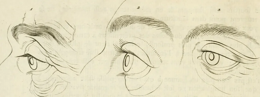 An illustration from Essai sur la physiognomonie : destiné a faire connoître l'homme & à le faire aimer, 1781, leaf 353
