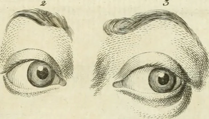 An illustration from Essai sur la physiognomonie : destiné a faire connoître l'homme & à le faire aimer, 1781, leaf 354
