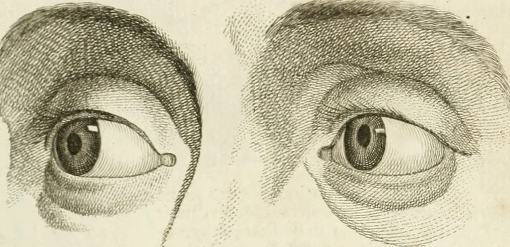 An illustration from Essai sur la physiognomonie : destiné a faire connoître l'homme & à le faire aimer, 1781, leaf 355