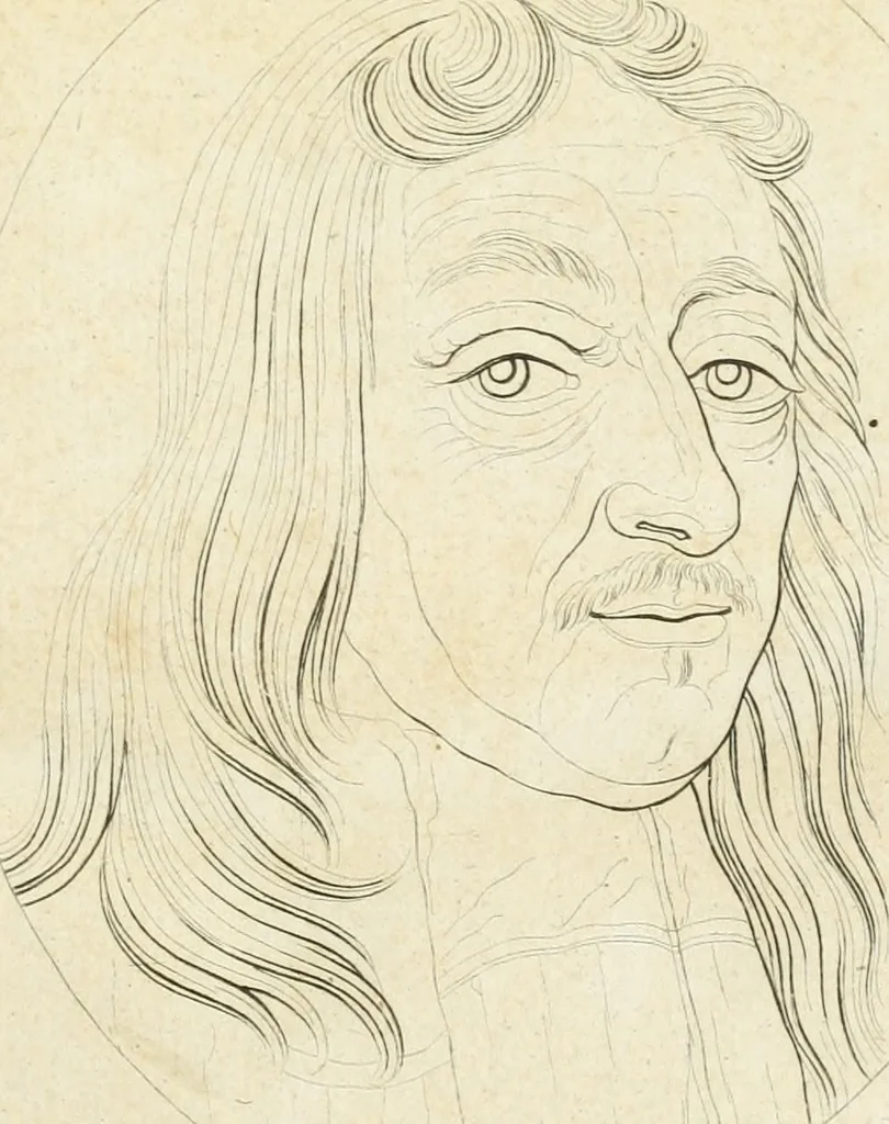 An illustration from Essai sur la physiognomonie : destiné a faire connoître l'homme & à le faire aimer, 1781, leaf 36