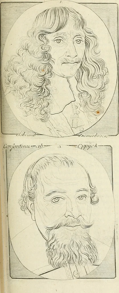 An illustration from Essai sur la physiognomonie : destiné a faire connoître l'homme & à le faire aimer, 1781, leaf 372