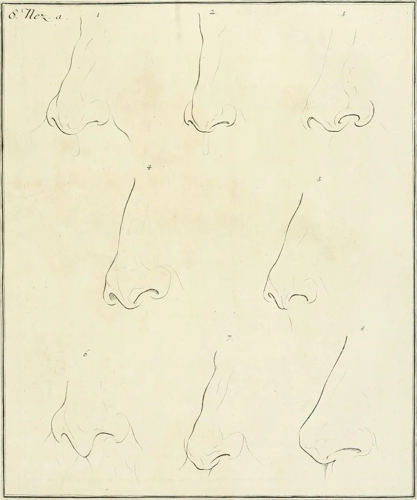 An illustration from Essai sur la physiognomonie : destiné a faire connoître l'homme & à le faire aimer, 1781, leaf 378