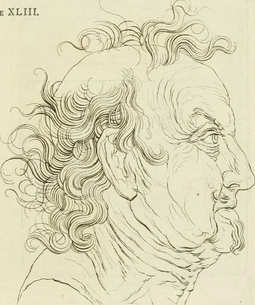 An illustration from Essai sur la physiognomonie : destiné a faire connoître l'homme & à le faire aimer, 1781, leaf 398