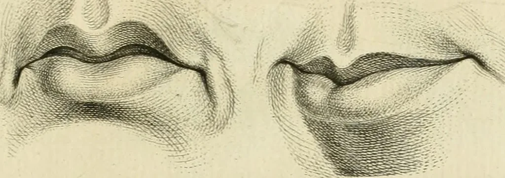 An illustration from Essai sur la physiognomonie : destiné a faire connoître l'homme & à le faire aimer, 1781, leaf 418