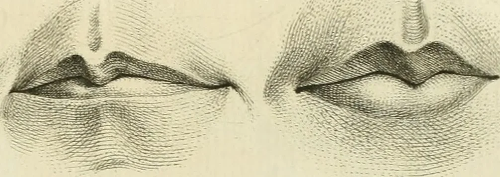 An illustration from Essai sur la physiognomonie : destiné a faire connoître l'homme & à le faire aimer, 1781, leaf 418