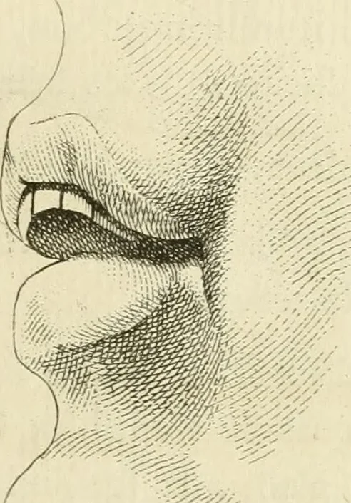 An illustration from Essai sur la physiognomonie : destiné a faire connoître l'homme & à le faire aimer, 1781, leaf 420