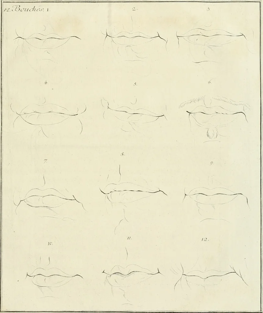 An illustration from Essai sur la physiognomonie : destiné a faire connoître l'homme & à le faire aimer, 1781, leaf 422