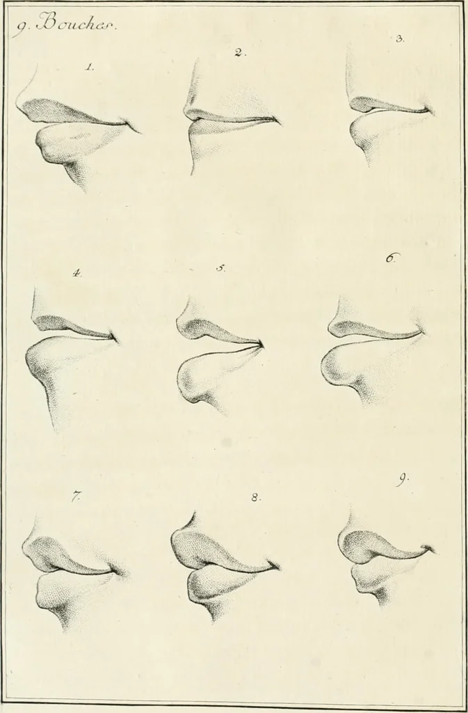 An illustration from Essai sur la physiognomonie : destiné a faire connoître l'homme & à le faire aimer, 1781, leaf 423