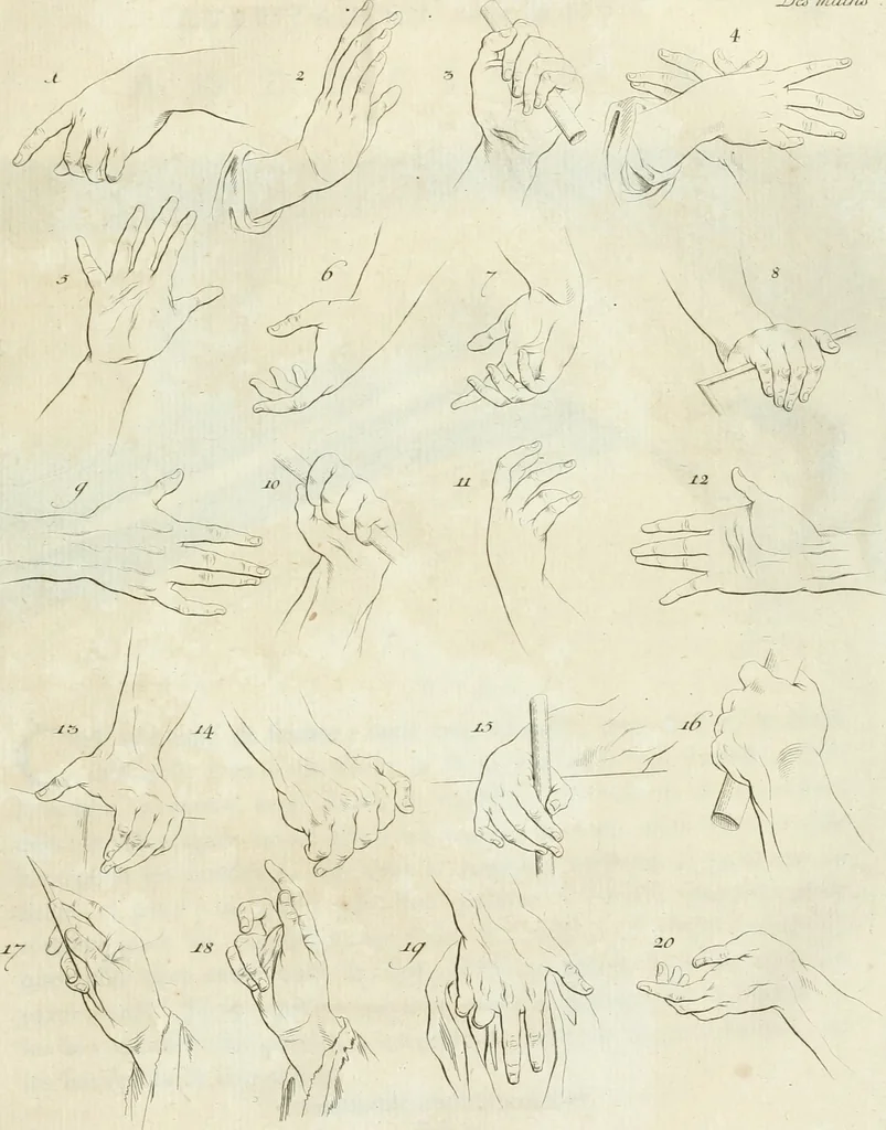 An illustration from Essai sur la physiognomonie : destiné a faire connoître l'homme & à le faire aimer, 1781, leaf 444