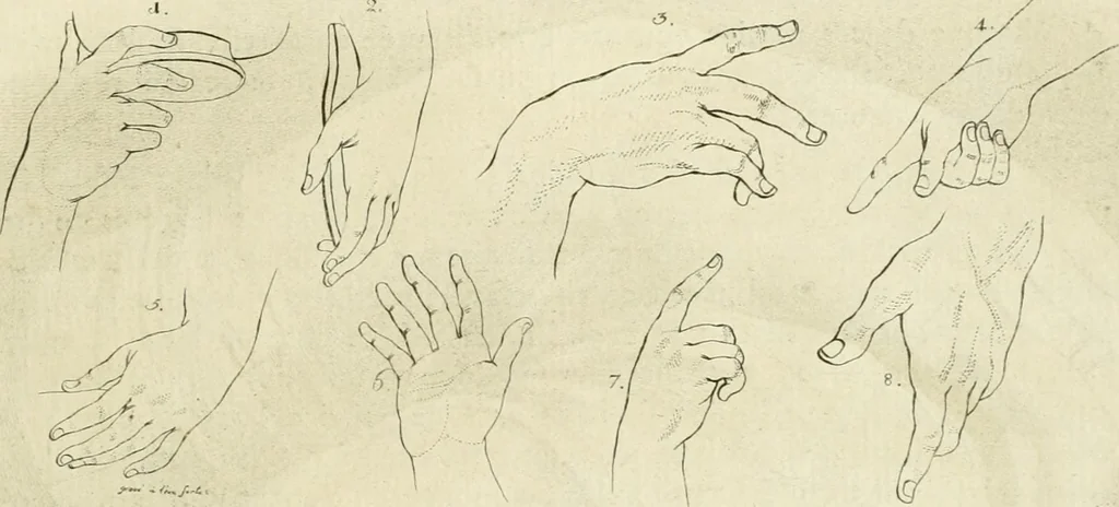 An illustration from Essai sur la physiognomonie : destiné a faire connoître l'homme & à le faire aimer, 1781, leaf 448