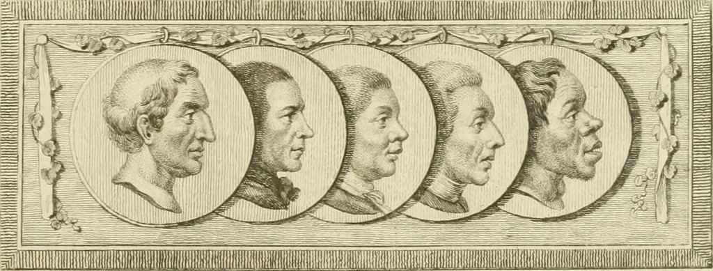 An illustration from Essai sur la physiognomonie : destiné a faire connoître l'homme & à le faire aimer, 1781, leaf 6